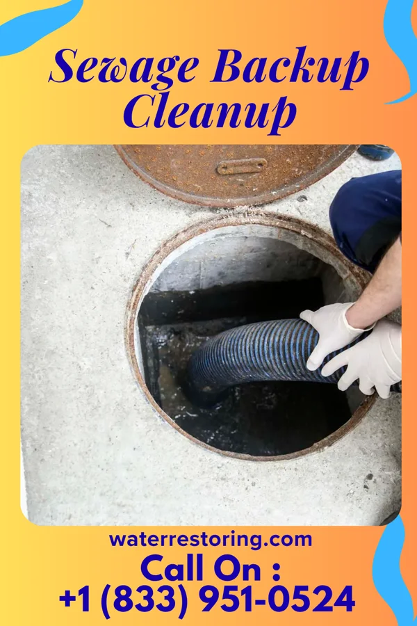 Sewage Backup Cleanup in Tar Heel, NC