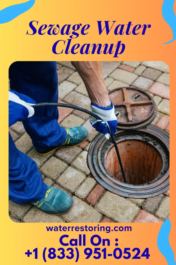Sewage Water Cleanup in Tar Heel, NC